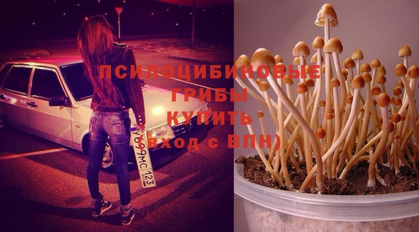 героин Алексин