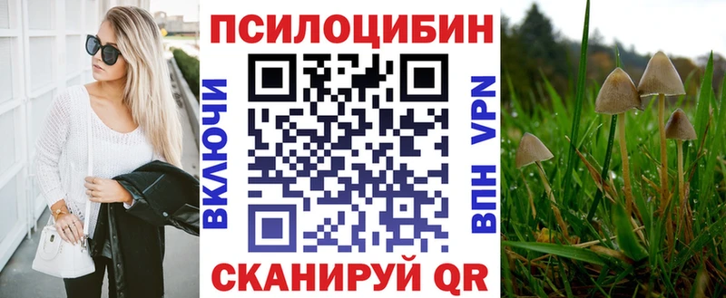 Купить где  Кологрив  Псилоцибиновые грибы GOLDEN TEACHER 